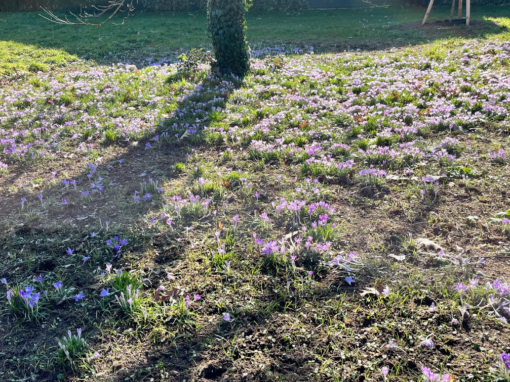 23-02-13 12-31-37 4174